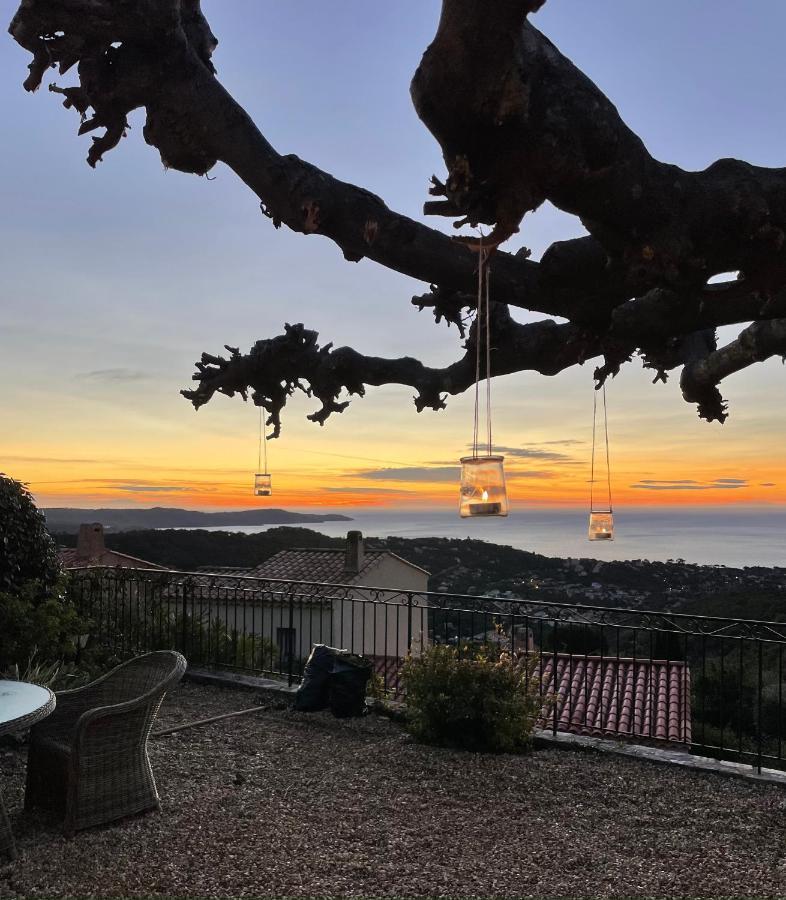 La Villa Cavalaire エクステリア 写真