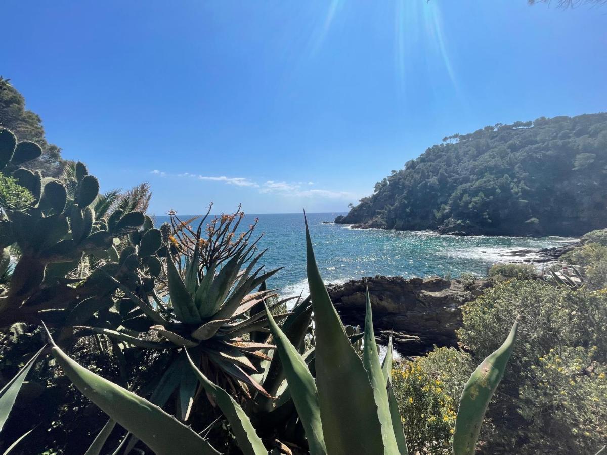 La Villa Cavalaire エクステリア 写真