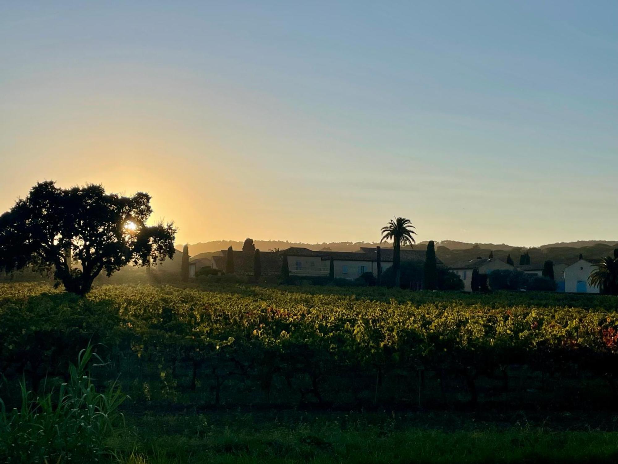 La Villa Cavalaire エクステリア 写真