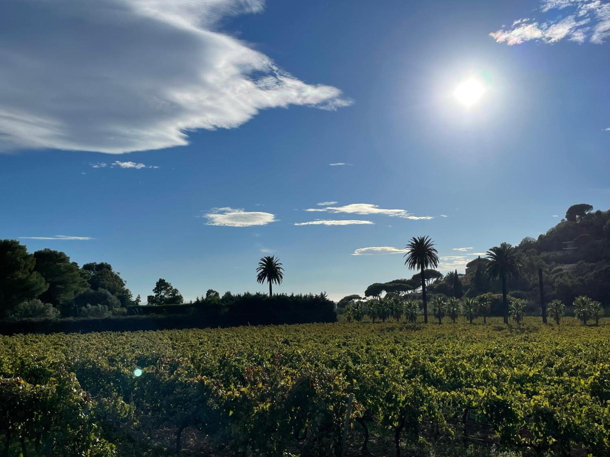 La Villa Cavalaire エクステリア 写真