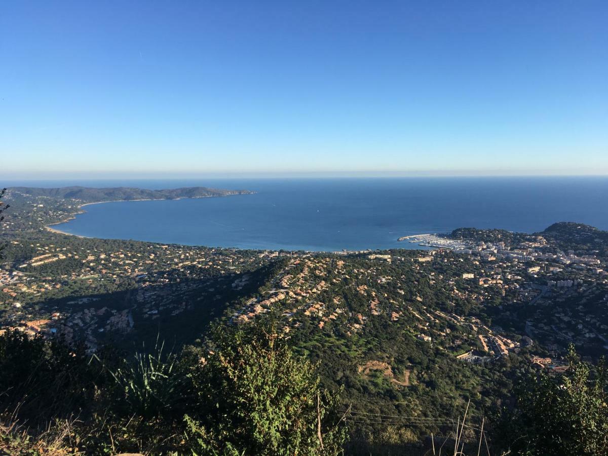 La Villa Cavalaire エクステリア 写真